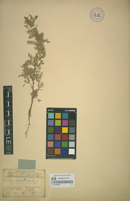 LE 01064255