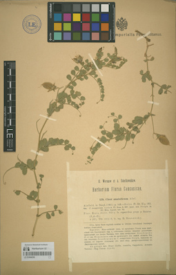 LE 01064256