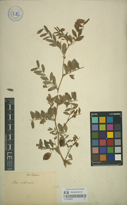LE 01064257