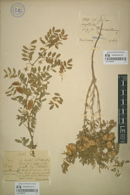 LE 01064258