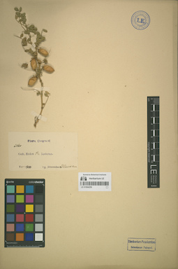 LE 01064259