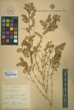 LE 01064260