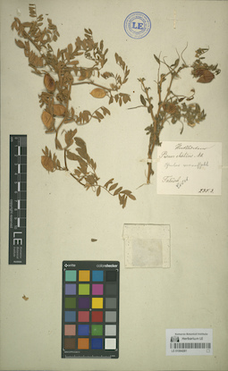 LE 01064261