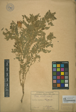 LE 01064262