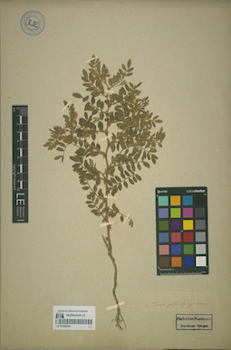 LE 01064264