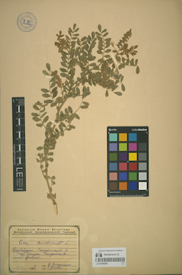 LE 01064265