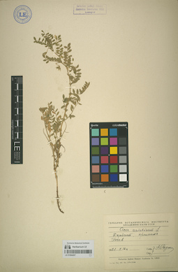LE 01064267