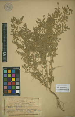 LE 01064268