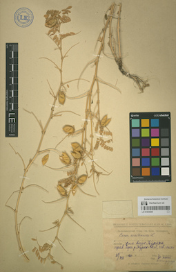 LE 01064269