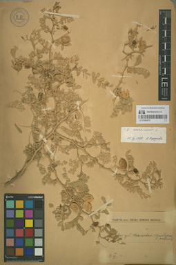 LE 01064270