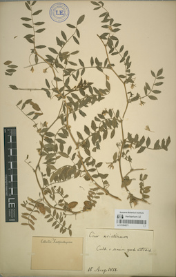 LE 01064271