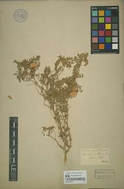 LE 01064272