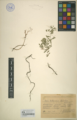 LE 01064273