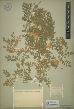 LE 01064276