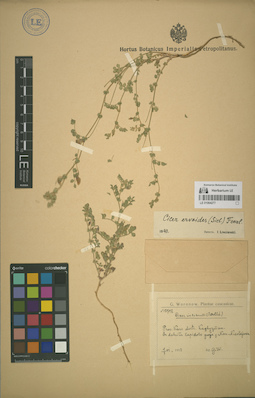 LE 01064277