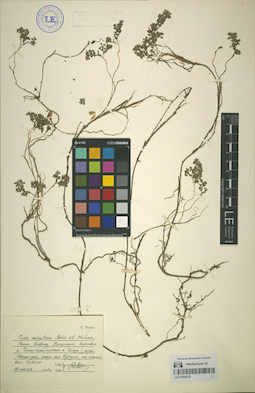 LE 01064278
