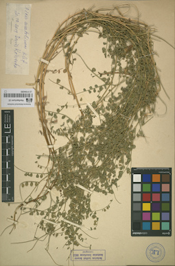 LE 01064280