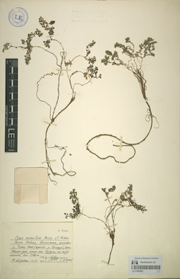 LE 01064281