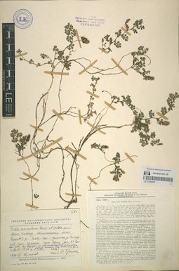 LE 01064282