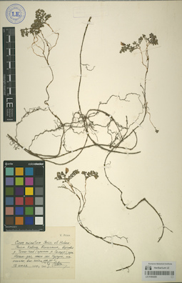 LE 01064285