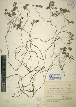 LE 01064286