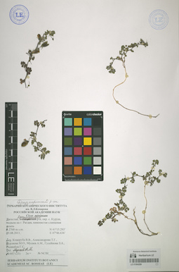 LE 01064289