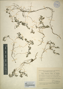 LE 01064290