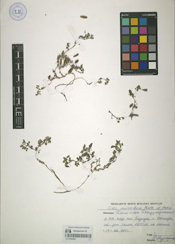 LE 01064293