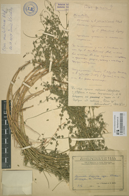 LE 01064294