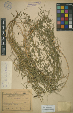 LE 01064297