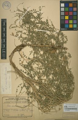 LE 01064298
