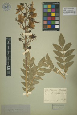 LE 01064320