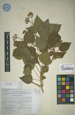 LE 01070722