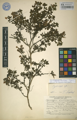 LE 01070725