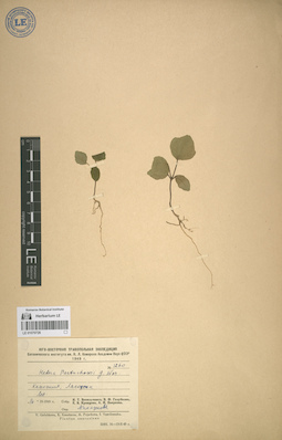 LE 01070726
