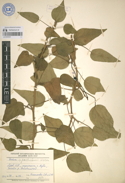 LE 01070727