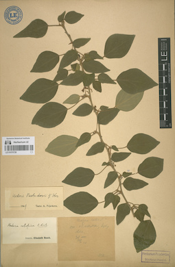 LE 01070728