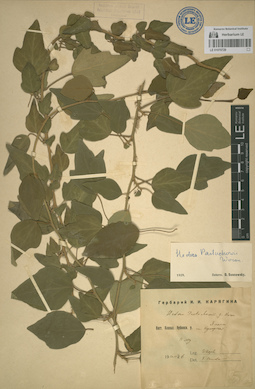 LE 01070729