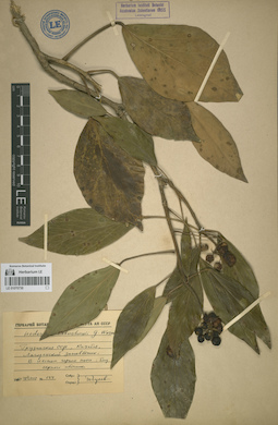 LE 01070730