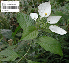 LE 01087747
