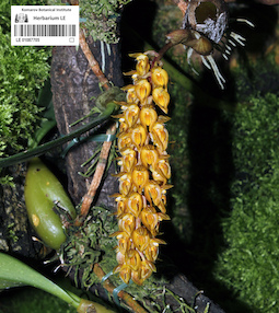 LE 01087705