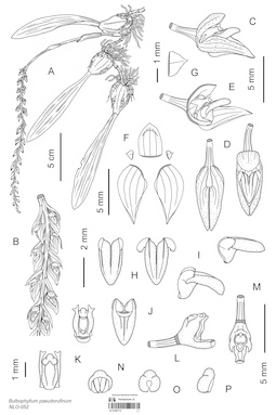 LE 01087713