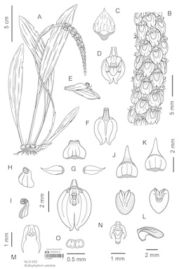 LE 01088167