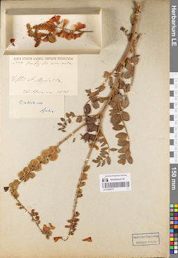 LE 01068273