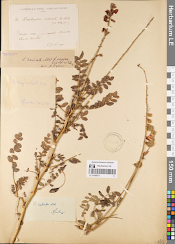 LE 01068275