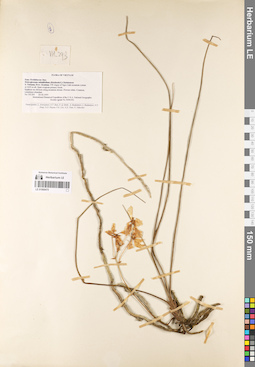 LE 01069475