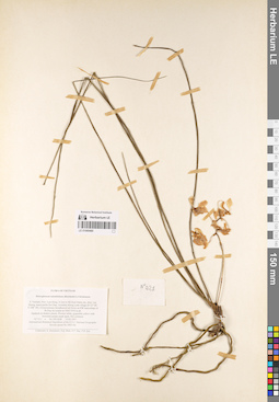 LE 01069480