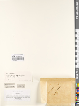 LE 01069521