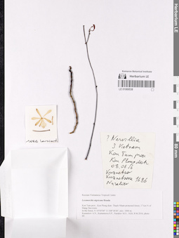 LE 01069538