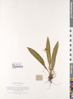 LE 01069611
